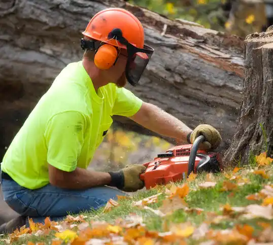 tree services Waretown